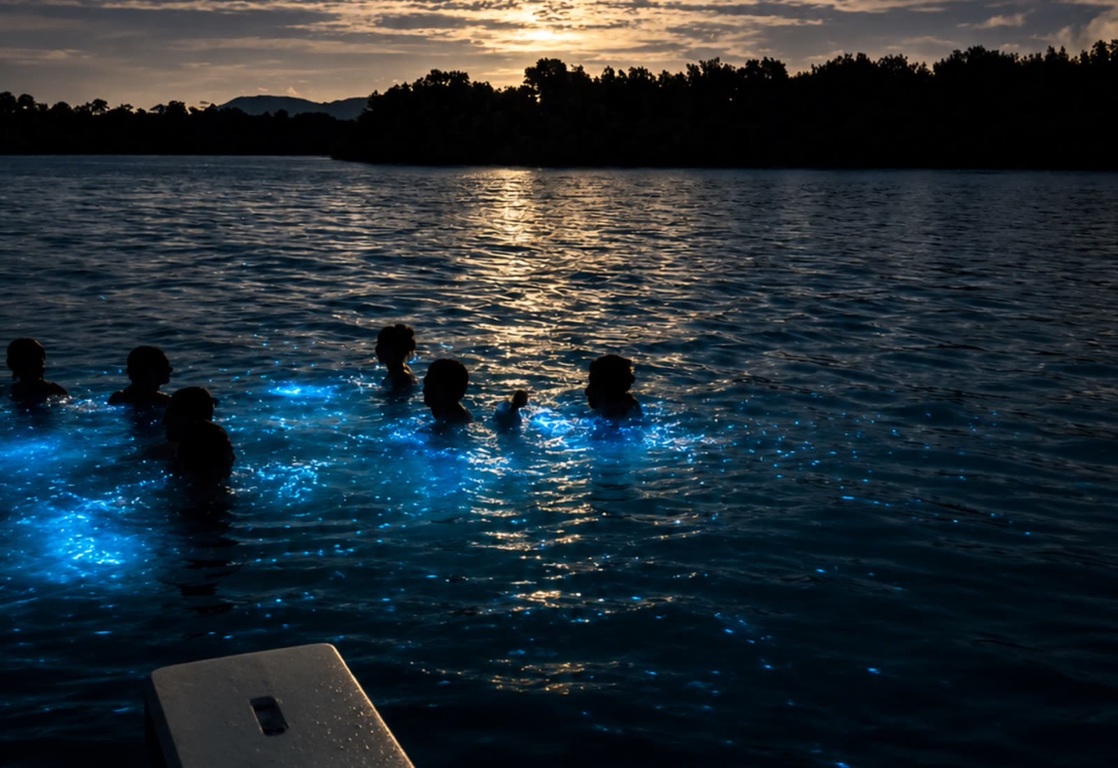 La bahía bioluminiscente encendida de noche