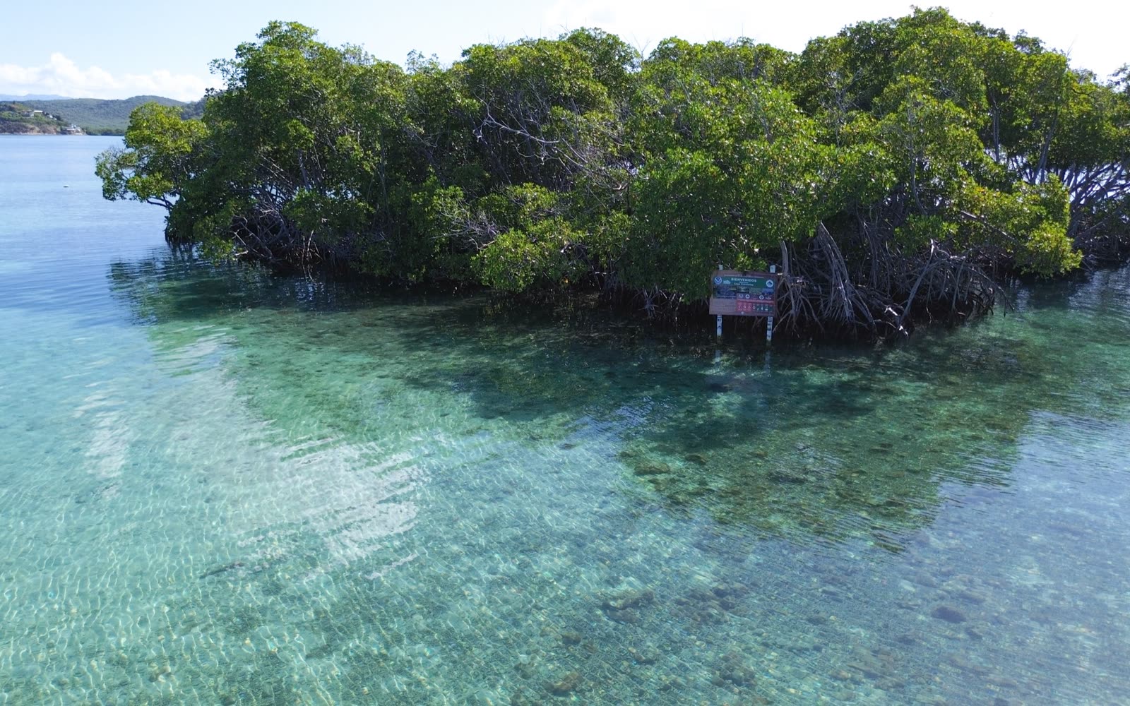 Cayos y aguas turquesa de La Parguera desde el aire
