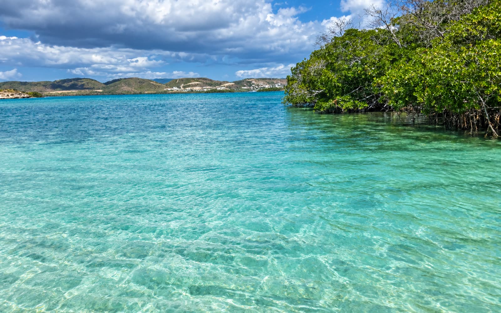 Cayo Collado, La Parguera