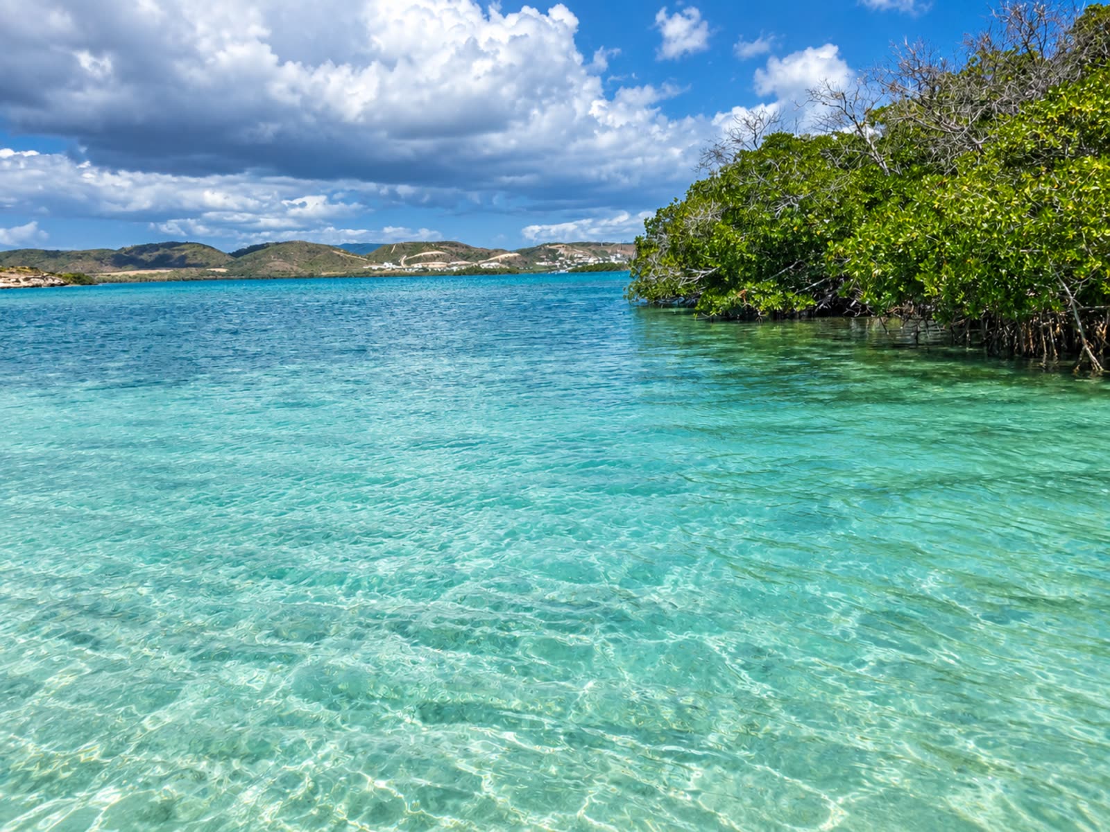 Cayo Collado, La Parguera